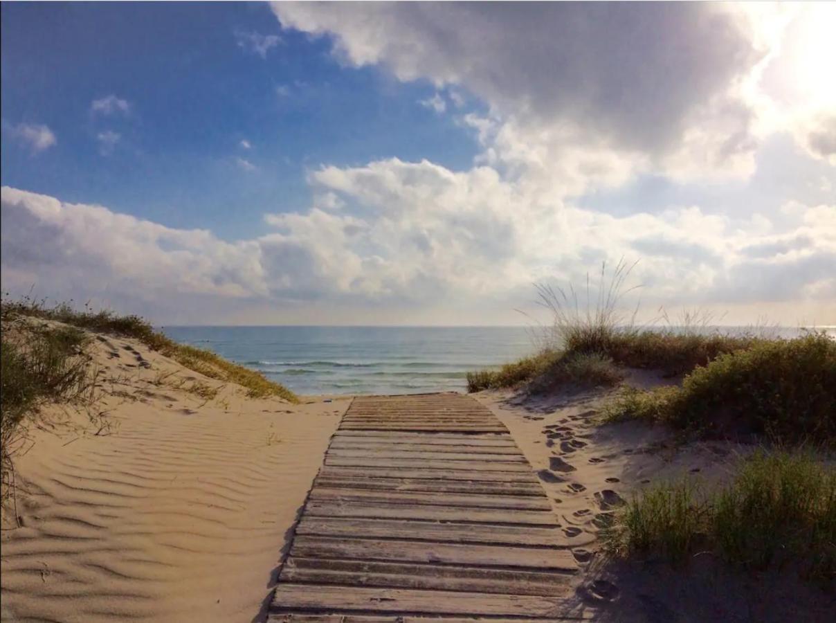 Apartamento Nuevo En La Playa- Met- Oliva Nova Golf Eksteriør billede
